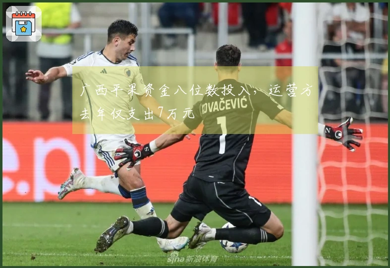 广西平果资金八位数投入，运营方去年仅支出7万元