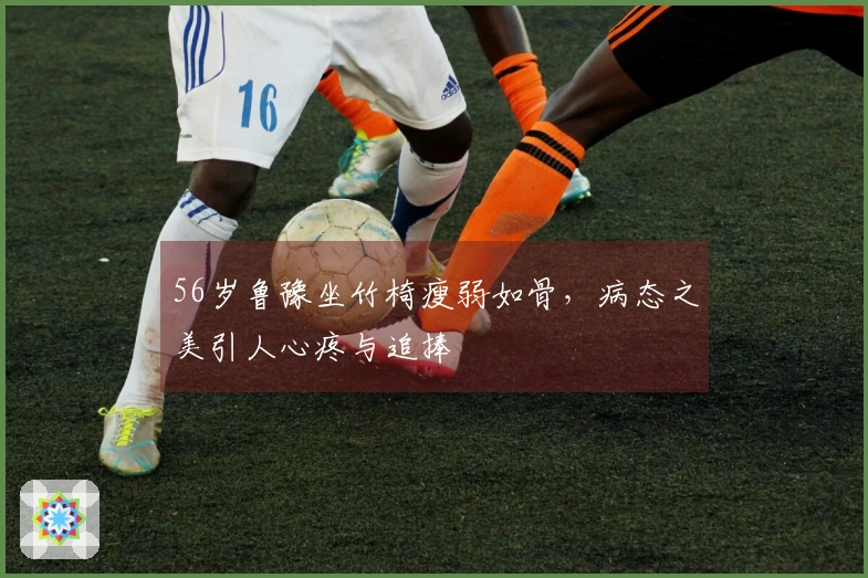 56岁鲁豫坐竹椅瘦弱如骨，病态之美引人心疼与追捧